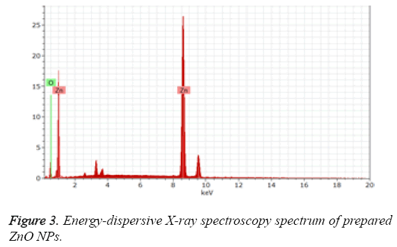 biomedres-Energy-dispersive-X-ray