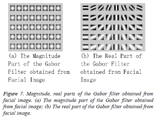 biomedres-Enhanced-image