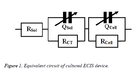 biomedres-Equivalent-circuit