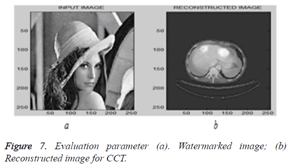 biomedres-Evaluation-parameter