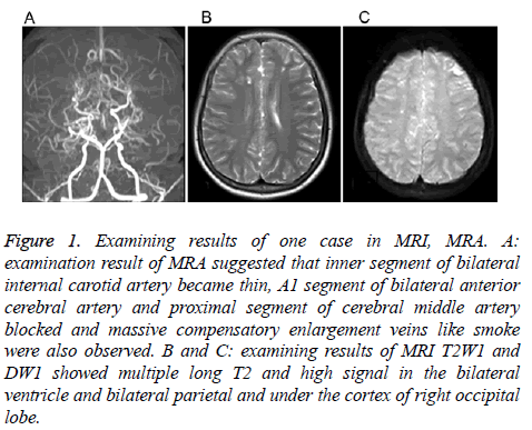 biomedres-Examining-results