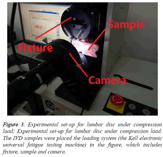 biomedres-Experimental-set-up