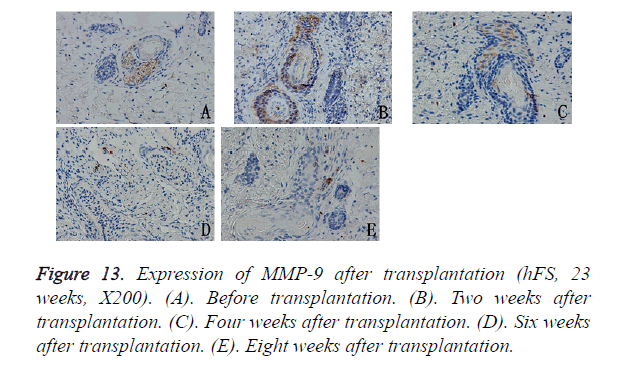 biomedres-Expression