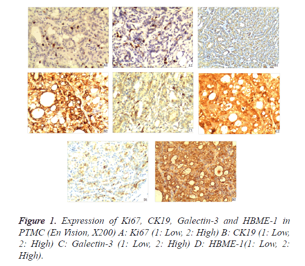 biomedres-Expression