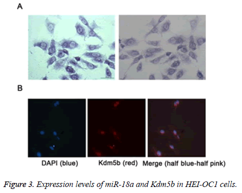 biomedres-Expression-cells