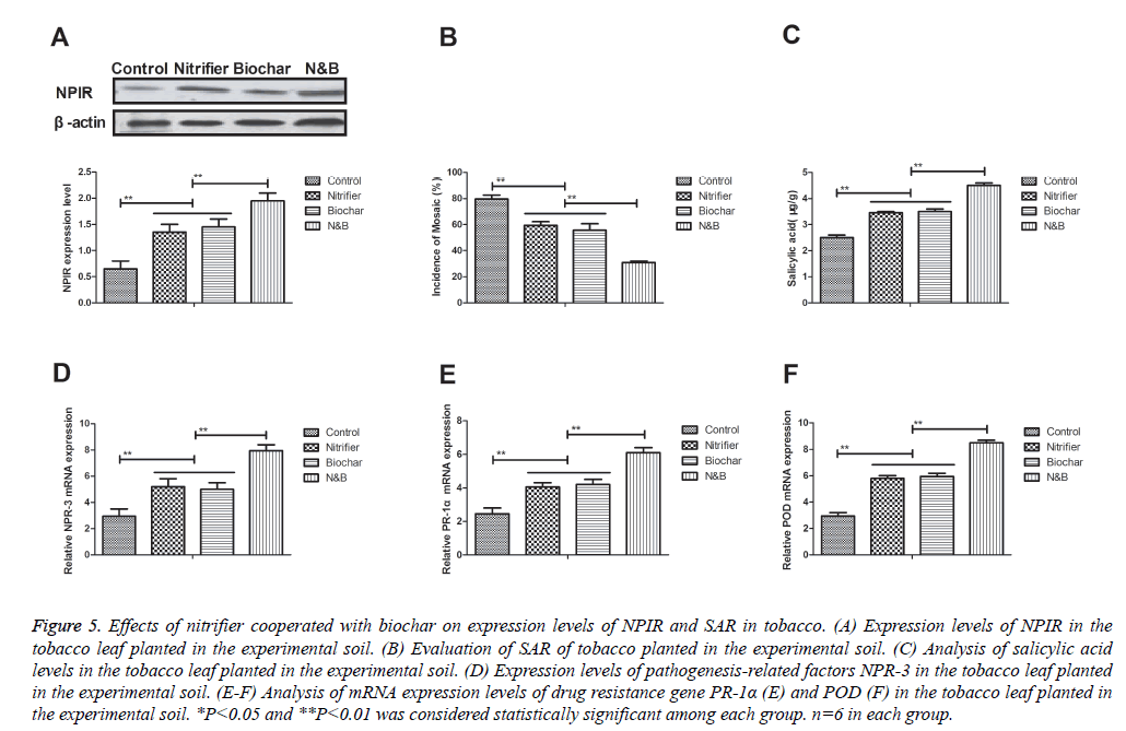 biomedres-Expression-levels