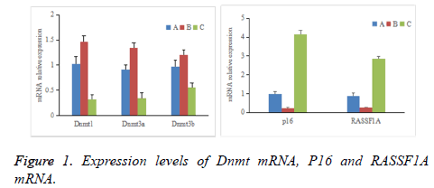 biomedres-Expression-levels