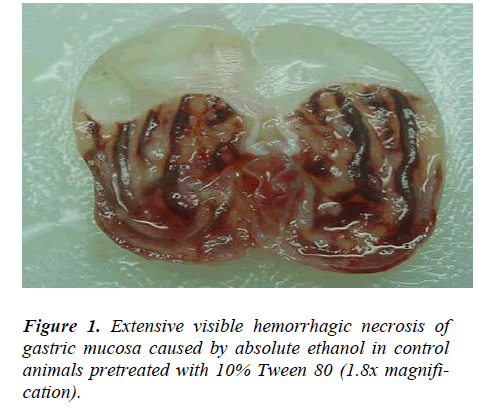 biomedres-Extensive-visible-hemorrhagic-necrosis