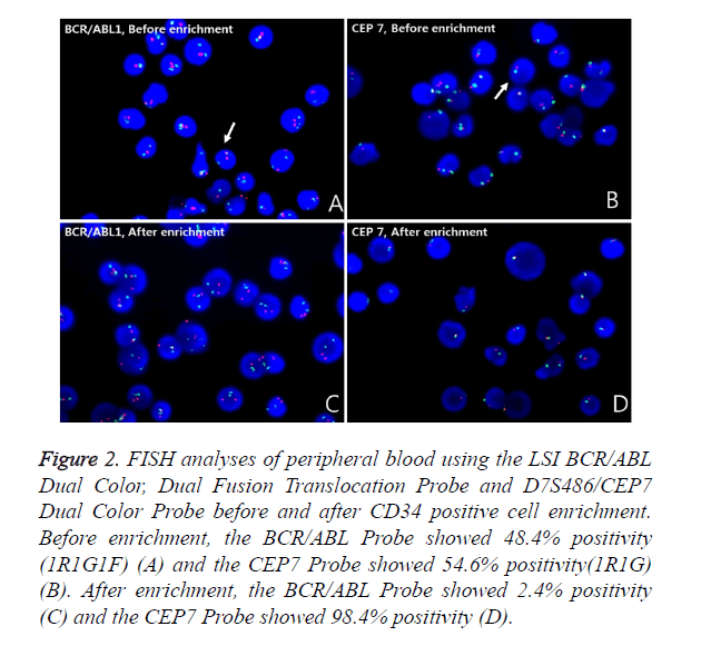 biomedres-FISH-analyses-peripheral