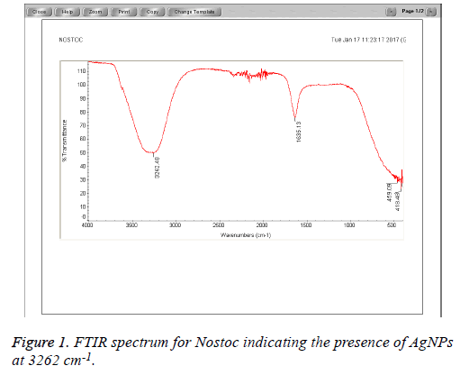 biomedres-FTIR-spectrum