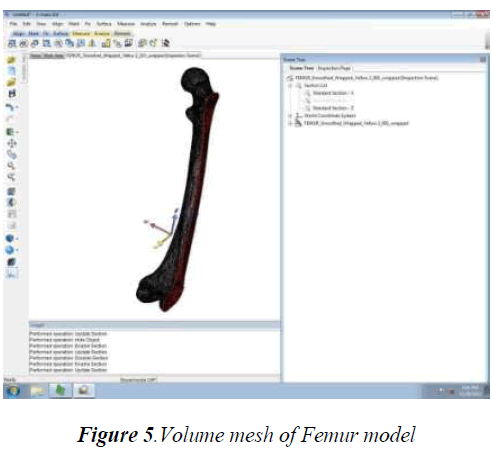 biomedres-Femur-model