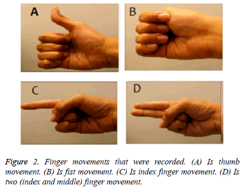 biomedres-Finger-movements