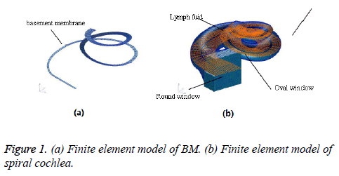 biomedres-Finite-element