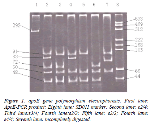 biomedres-First-lane