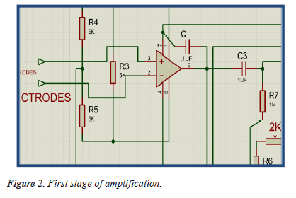 biomedres-First-stage-amplification