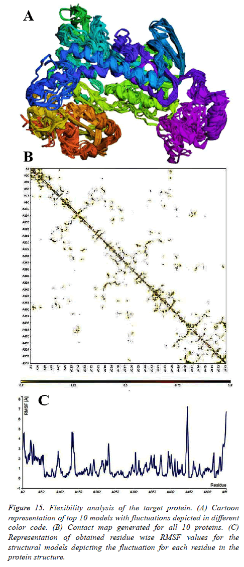 biomedres-Flexibility-analysis