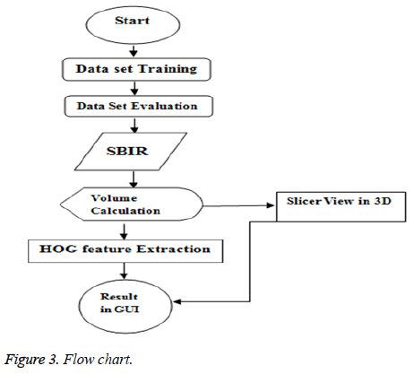 biomedres-Flow-chart