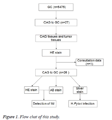 biomedres-Flow-chat