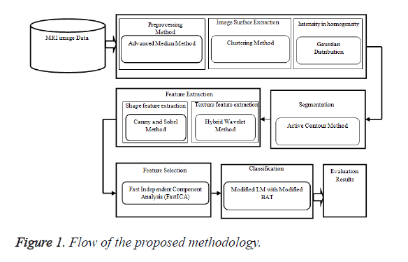 biomedres-Flow-proposed-methodology