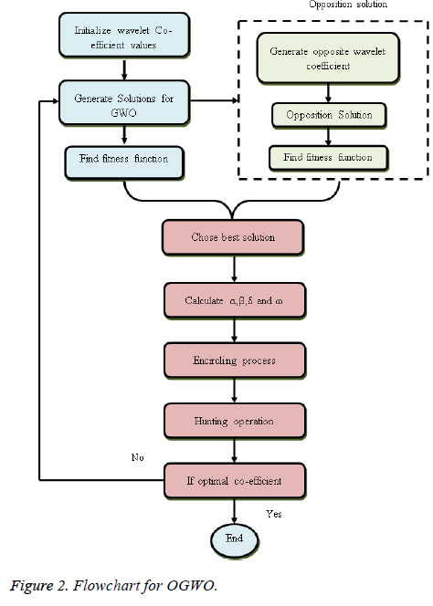 biomedres-Flowchart-OGWO