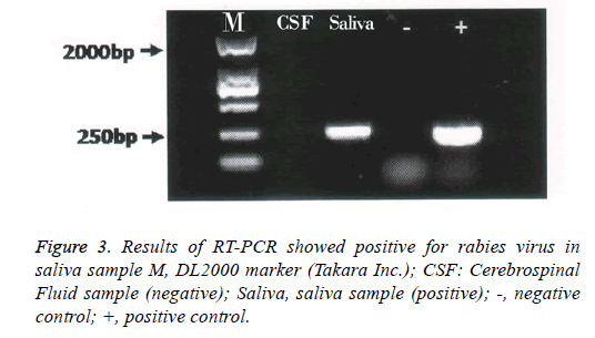 biomedres-Fluid-sample