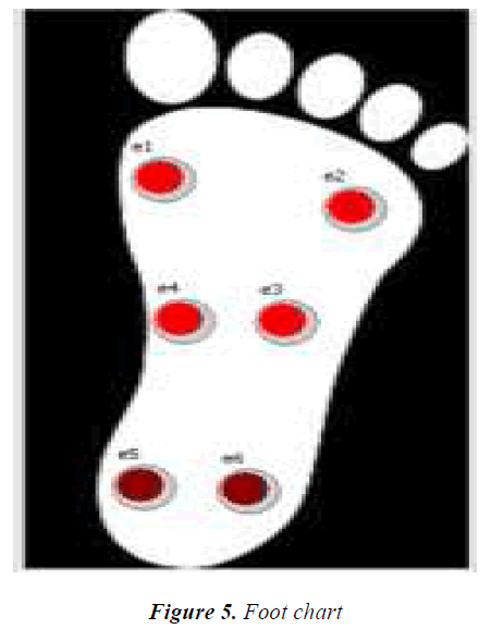 biomedres-Foot-chart