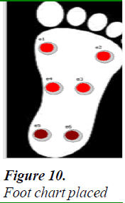 biomedres-Foot-chart-placed