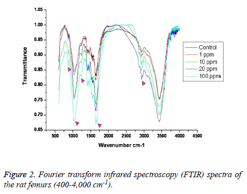 biomedres-Fourier-transform