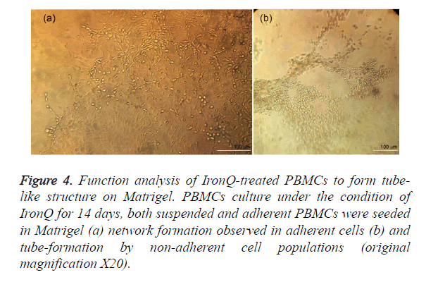 biomedres-Function-analysis