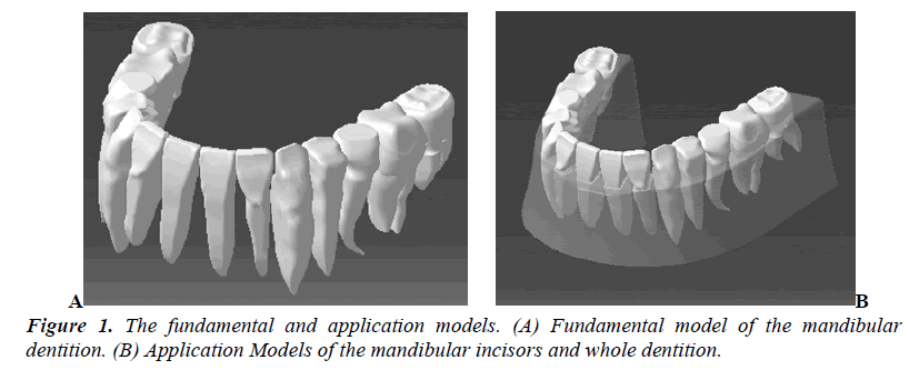 biomedres-Fundamental-model