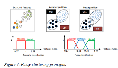 biomedres-Fuzzy-clustering