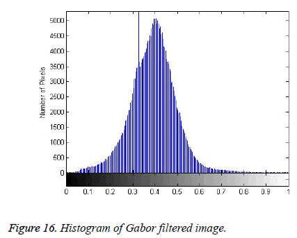 biomedres-Gabor-filtered