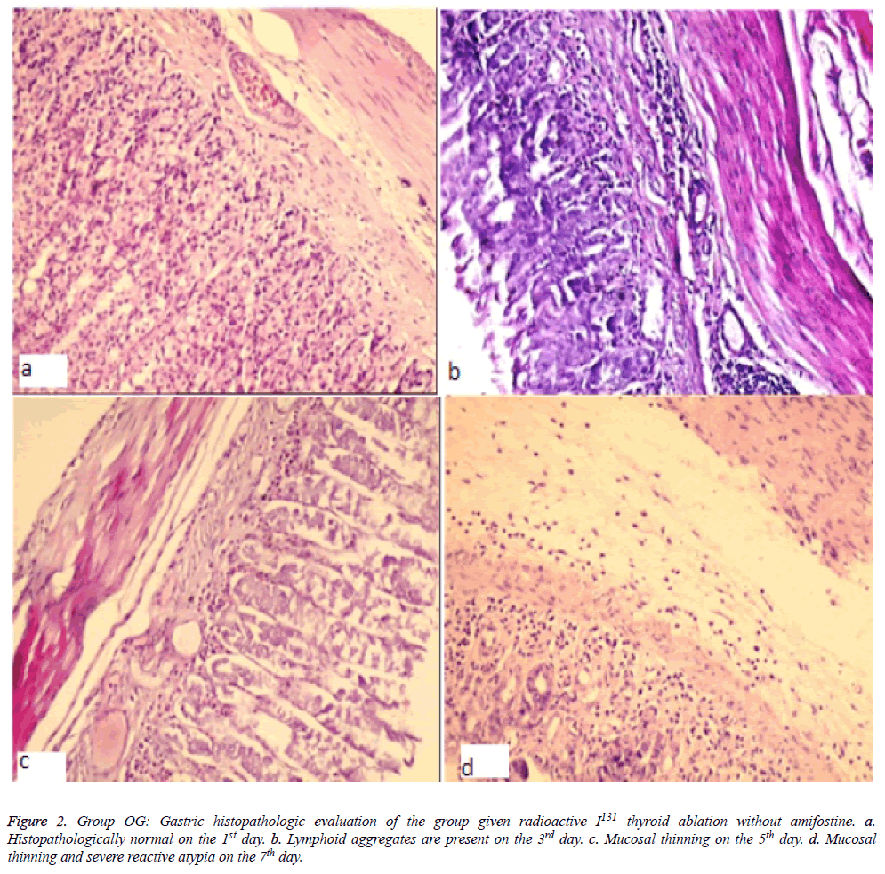 biomedres-Gastric-histopathologic