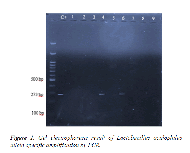 biomedres-Gel-electrophoresis