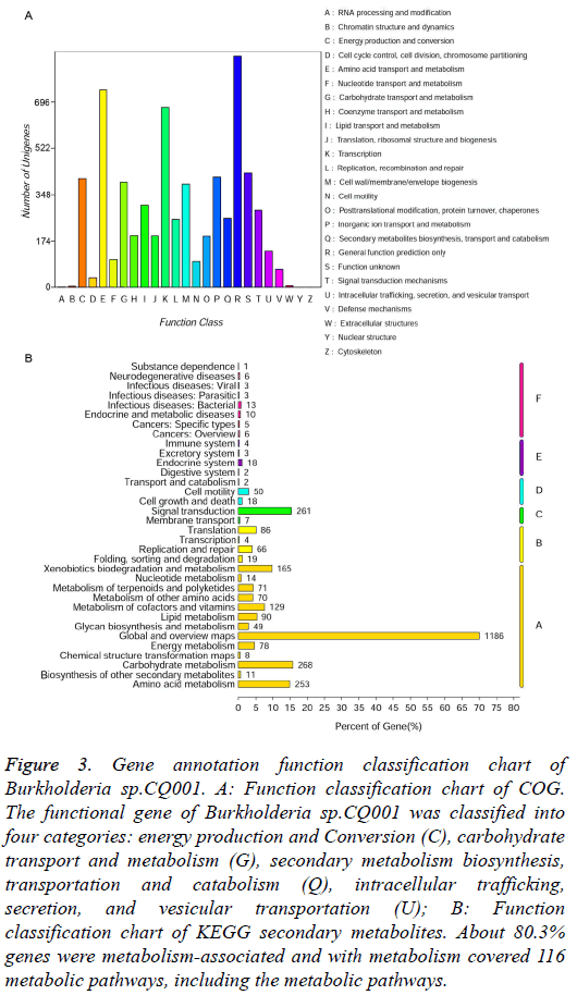 biomedres-Gene-annotation-function