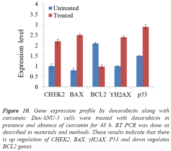 biomedres-Gene-expression-profile