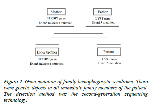 biomedres-Gene-mutation