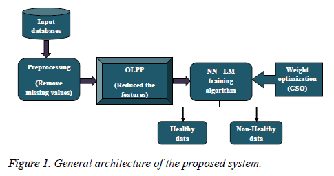 biomedres-General-architecture