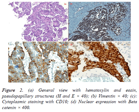 biomedres-General-view