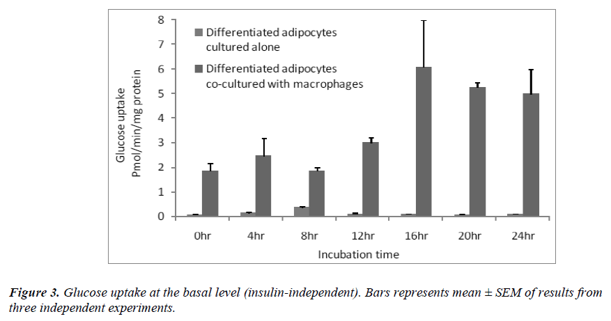 biomedres-Glucose-uptake-basal