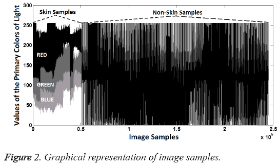 biomedres-Graphical-representation-image