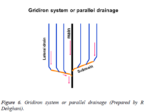 biomedres-Gridiron-system