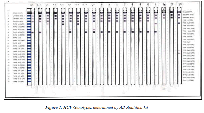 biomedres-HCV-Genotypes