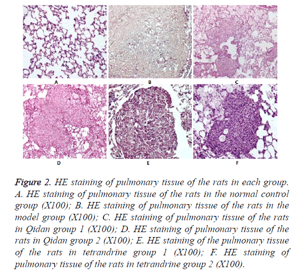 biomedres-HE-staining