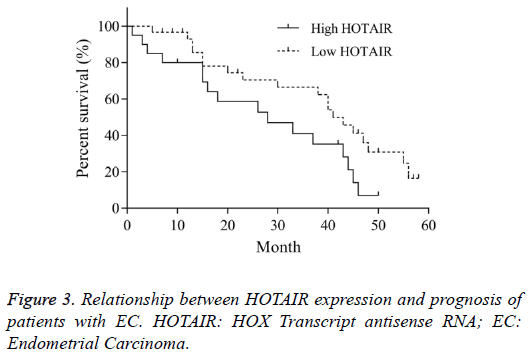 biomedres-HOTAIR-expression