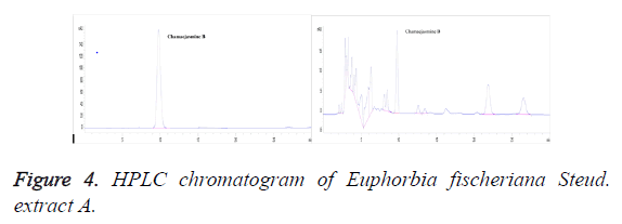 biomedres-HPLC-chromatogram-Euphorbia