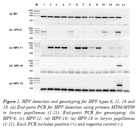 biomedres-HPV-detection