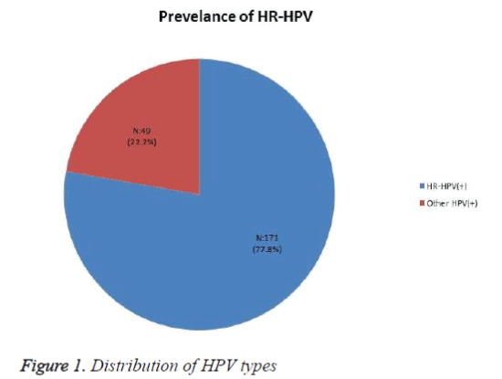 biomedres-HPV-types