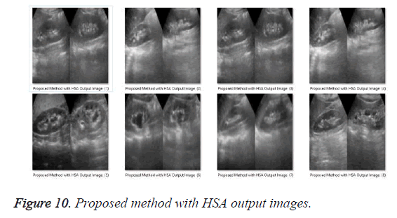 biomedres-HSA-output