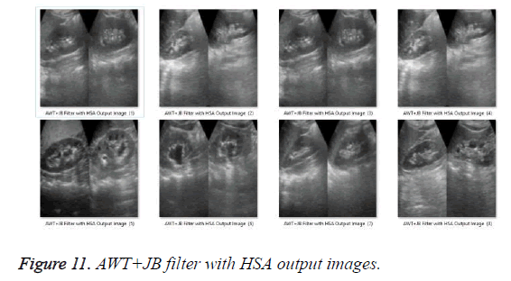biomedres-HSA-output-images